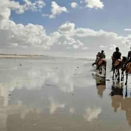 Dunes De Nala Avec Balcon Vue Dunes Et Laterale Pour 4 Pers 100m Wifi Menage Compris *