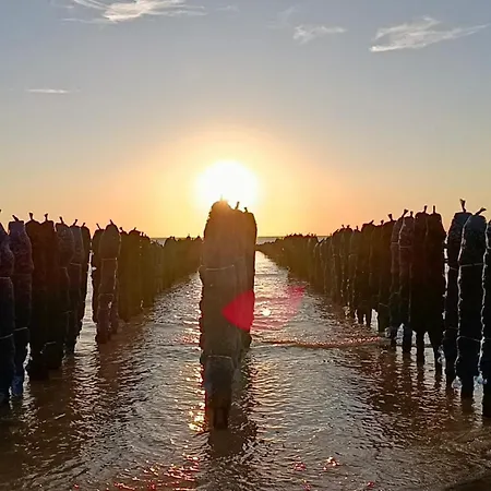 דירה Dunes De Nala Avec Balcon Vue Dunes Et Laterale Pour 4 Pers 100m Wifi Menage Compris פור-מהון-פלאז'